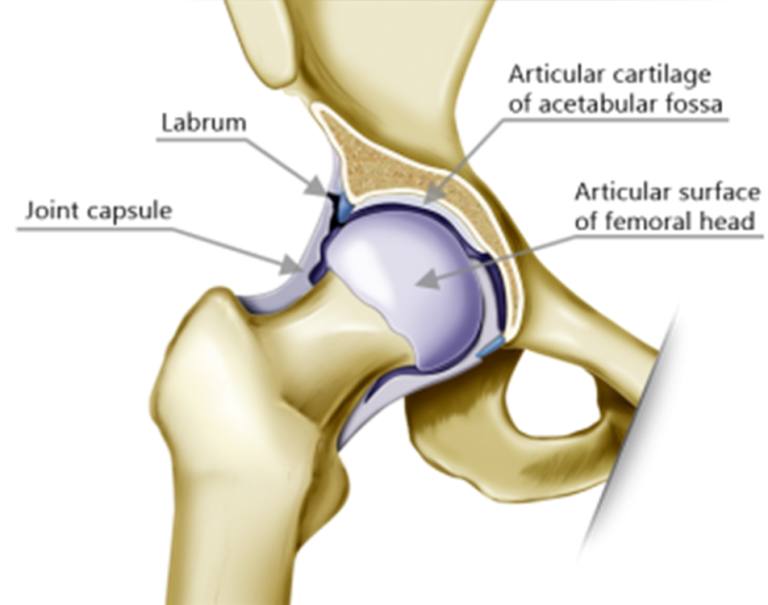 Hip Labral Tear Rehab On The Road
